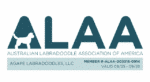 ALAA Logo