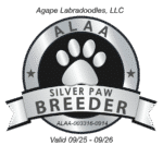 Silver Paw