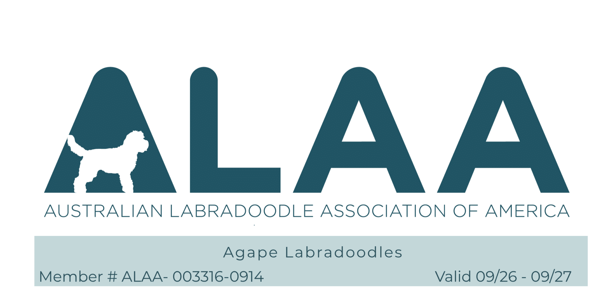 ALAA Member Logo 2024