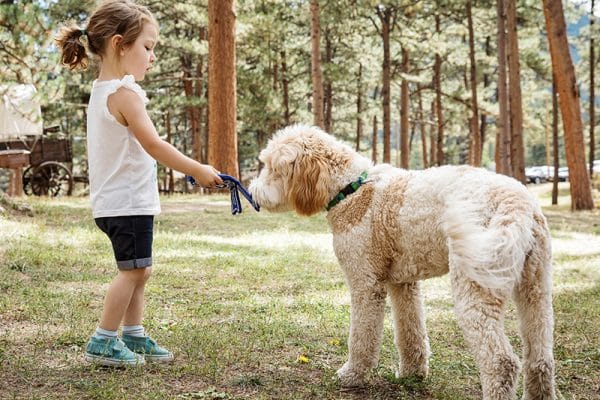 kids love labradoodles